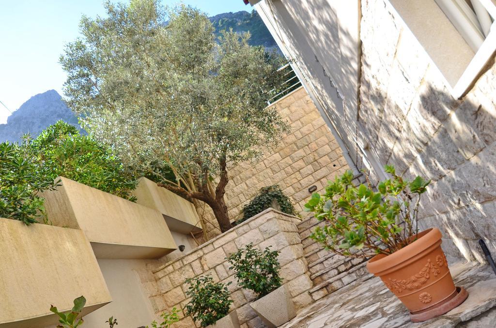 Muo Apartments Kotor Ngoại thất bức ảnh